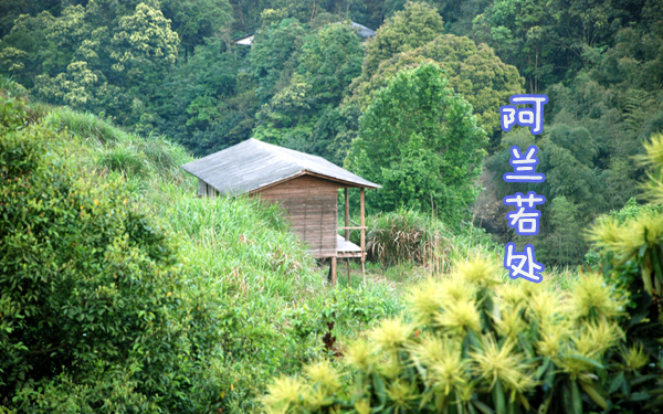 阿兰若处